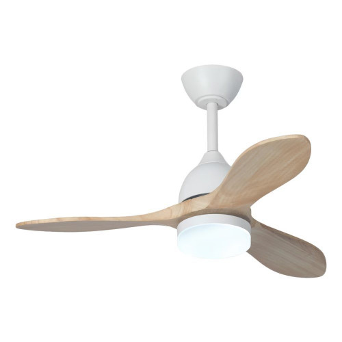 Ventilador de techo TERRA ST-CF2521