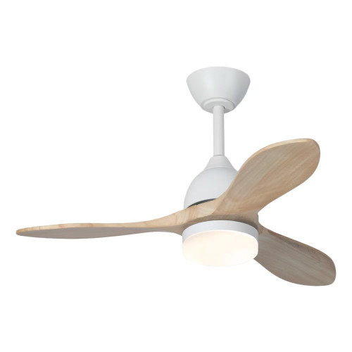Ventilador de techo TERRA ST-CF2521