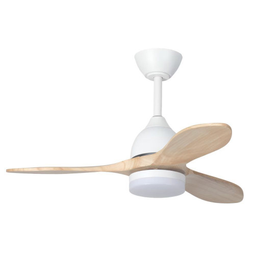 Ventilador de techo TERRA ST-CF2521