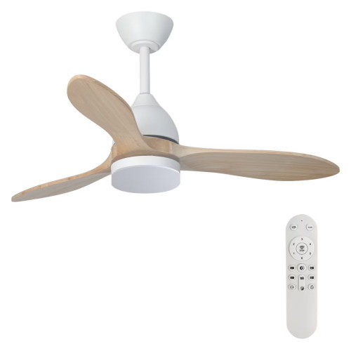 Ventilador de techo TERRA ST-CF2522