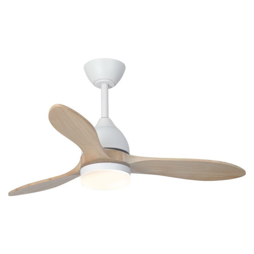 Ventilador de techo TERRA ST-CF2522