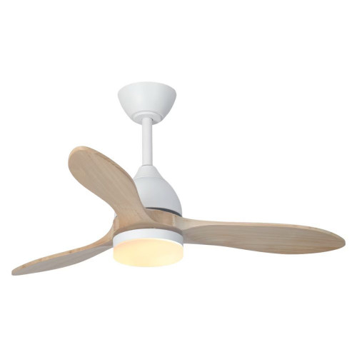Ventilador de techo TERRA ST-CF2522