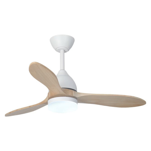 Ventilador de techo TERRA ST-CF2522