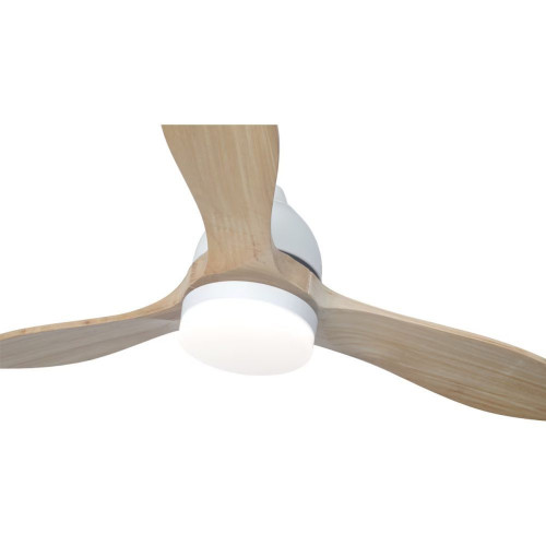Ventilador de techo TERRA ST-CF2522