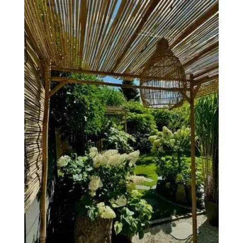 vidaXL Pérgola de Bambú 170x170x220 cm