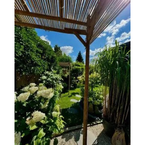 vidaXL Pérgola de Bambú 170x170x220 cm