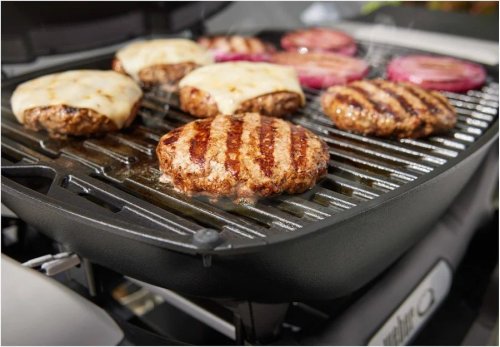 Weber Q 1200N