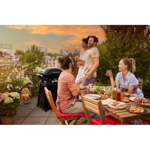 Weber q2800n+1501123 Barbacoa de gas