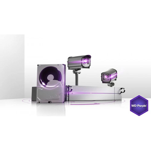 Western Digital Purple 1TB