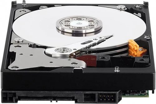 Western Digital Purple 1TB