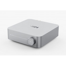 WiiM Amp