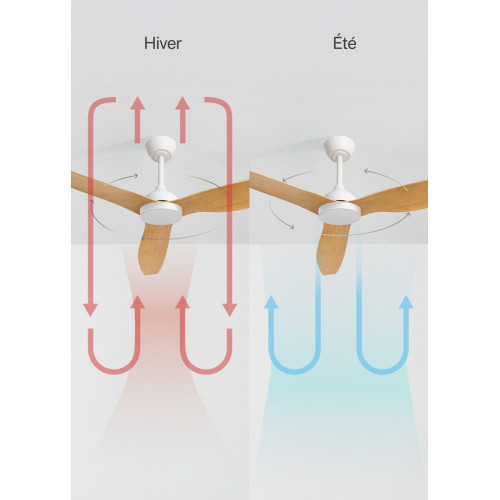 WIND BALANCE M - Ventilador de techo 40W silencioso Ø132 cm - Con luz - sin WIFI