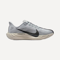 Zapatillas de Running de hombre PEGASUS PLUS Nike Gris