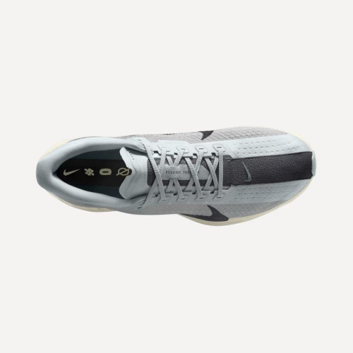 Zapatillas de Running de hombre PEGASUS PLUS Nike Gris